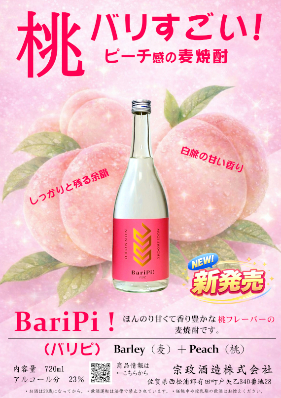 BariPi�V����